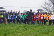 DSC00489 DSC00489
